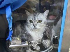 -谐和益家动物医院·免疫绝育·血液透析·宠保定点医院(高新伊藤分院)
