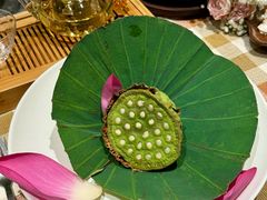 -叶叶菩提(太原别墅店)