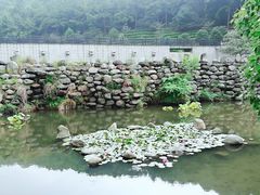 -九龙潭景区