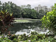 -荔枝公园(福田区)