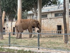 -石家庄市动物园