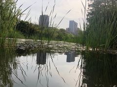 -天鹅湖体育公园