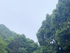 -青城山