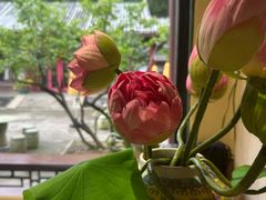 -宫事颐庭·老佛爷贵寿下午茶(颐和园店)