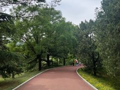 -国家植物园南园