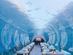 -涛·海底餐厅·美人鱼·自助餐·海底隧道(三亚海棠湾洲际度假酒店)