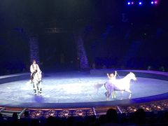 -珠海横琴长隆《卡卡虎奇遇记》