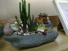-A+匠心DIY手工坊·首饰·微景观