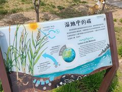 -绿堤公园