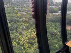 -呀诺达热带雨林