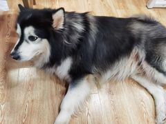 -白兔子密室(长寿路店)