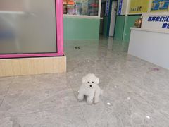 -全心全意连锁动物医院(石景山店)