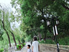 -文瀛公园