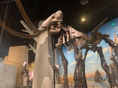 -国家自然博物馆