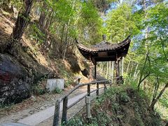 -东天目山风景区