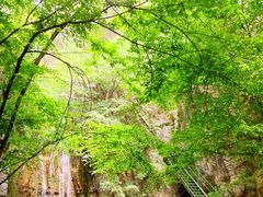 商户图片-十渡东湖港风景区