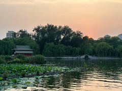 -济南大明湖景区