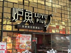 -炉鱼(亲橙里店)