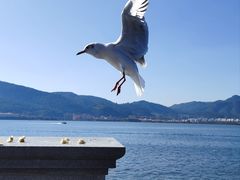 -滇池海埂公园