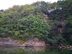 -黄椅山火山森林公园