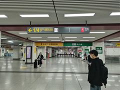 -合肥火车站(地铁站)