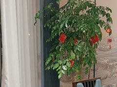 -写庭·鱼鲜川菜·宴请(铁像寺水街店)