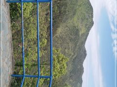 -四明山国家森林公园
