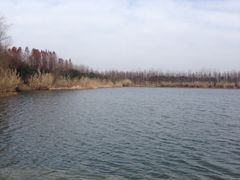 -溱湖国家湿地公园