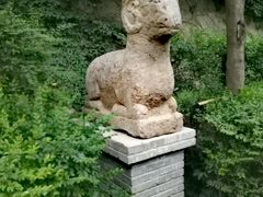 -石羊农庄