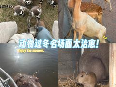 -无锡动物园·太湖欢乐园