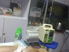 iphone_upload_pic-严国平动物医院(德政总院)