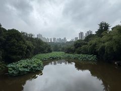 -龙头寺公园