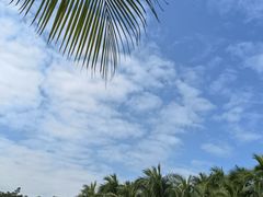 -深圳湾公园(南山区)