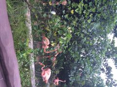 iphone_upload_pic-河川生态园