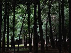 -捞渔河湿地公园