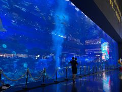 -成都浩海立方海洋公园