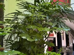 -31号公馆(黄兴广场白果园店)