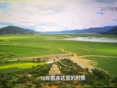 -SFC上影影城(南京新城市广场店)