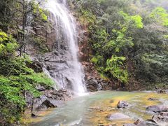 -九龙江国家森林公园