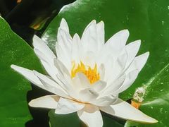 -什刹海