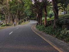 -深圳国际园林花卉博览园