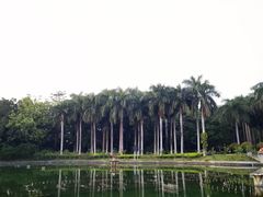 -南宁南湖公园