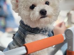 -Alimentari Mulino意大利餐吧&烘焙(丰盛里店)