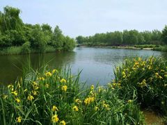 -大兴滨河森林公园