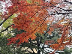 -西安市纺织公园