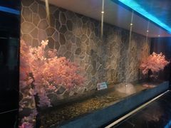 -紫园足道24h养生休闲会所(安吉万达店)