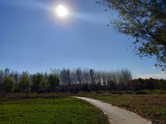 -东郊湿地公园
