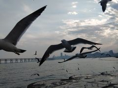 -星海广场
