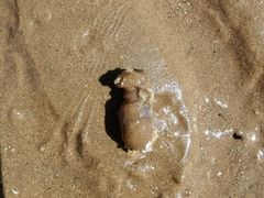 -东戴河风景区-止锚湾