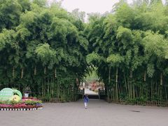 -东坡赤壁风景名胜区